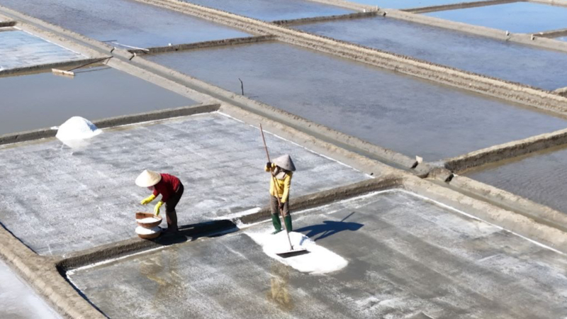 Gi&aacute; muối tăng cao, di&ecirc;m d&acirc;n Sa Huỳnh tất bật t&aacute;i sản xuất