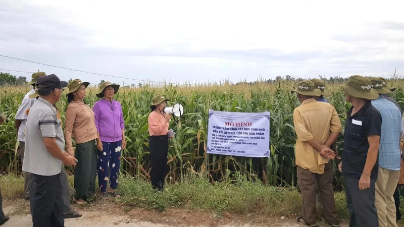 Năm 2026, Quảng Ng&atilde;i triển khai 13 m&ocirc; h&igrave;nh khuyến n&ocirc;ng 