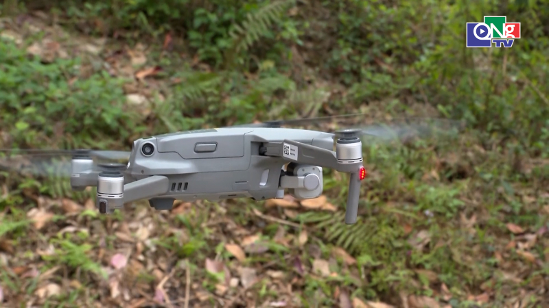 Hiệu quả ứng dụng c&ocirc;ng nghệ số trong bảo vệ rừng v&agrave; gi&aacute;m s&aacute;t đa dạng sinh học