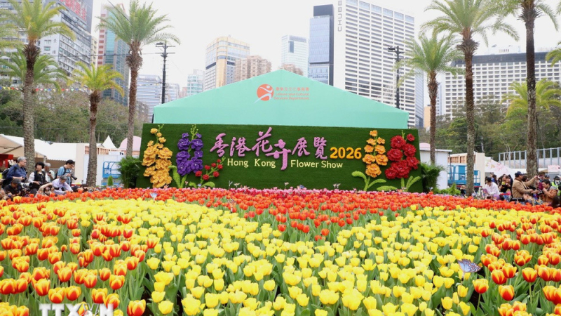 Ấn tượng triển l&atilde;m hoa tại Hong Kong (Trung Quốc)