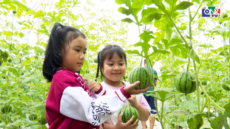 Gắn kết sản phẩm OCOP với du lịch n&ocirc;ng th&ocirc;n