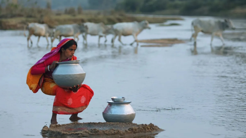 Bất b&igrave;nh đẳng giới l&agrave;m gia tăng khủng hoảng nước to&agrave;n cầu