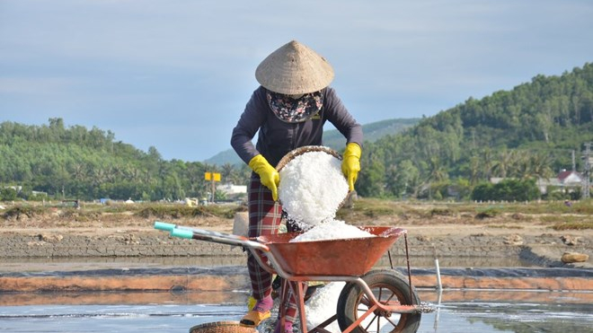 Gi&aacute; muối Sa Huỳnh tăng cao