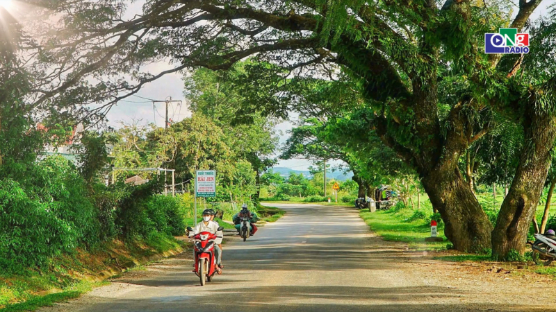 Kon Đ&agrave;o - Miền xanh hy vọng