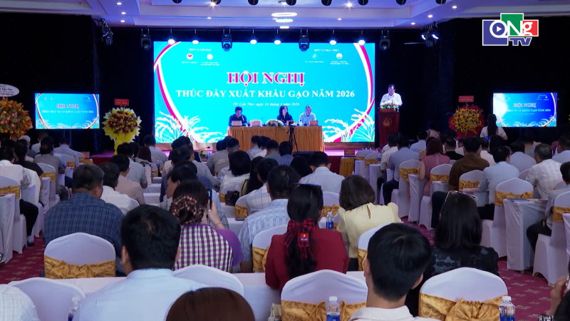 Tạo điều kiện cho thương l&aacute;i để th&uacute;c đẩy xuất khẩu gạo