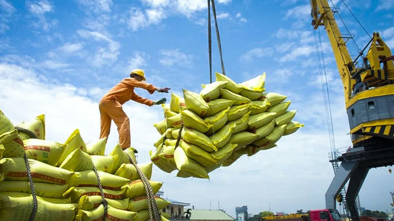 Xuất khẩu gạo của việt nam sang Senegal tăng gần 30 lần 