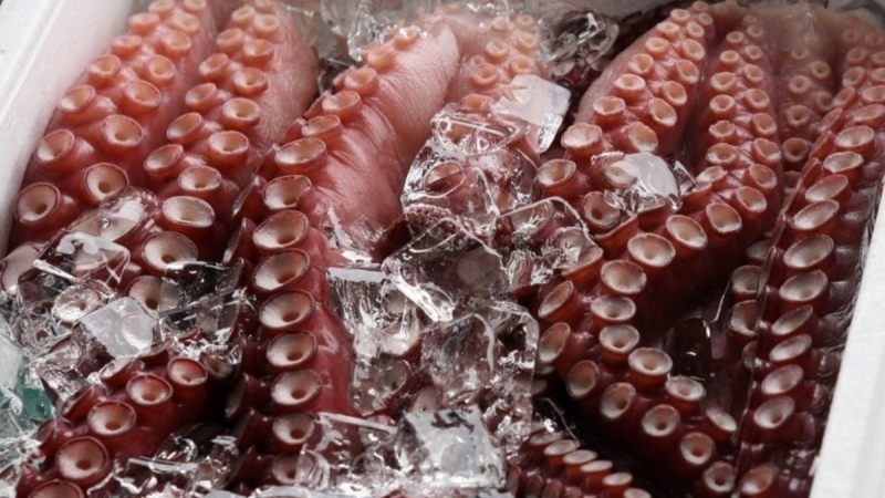 Xuất khẩu mực v&agrave; bạch tuộc khởi sắc 