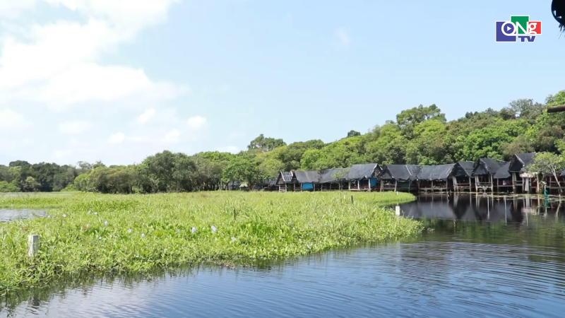 Đ&aacute;nh thức tiềm năng du lịch Trằm Tr&agrave; Lộc 