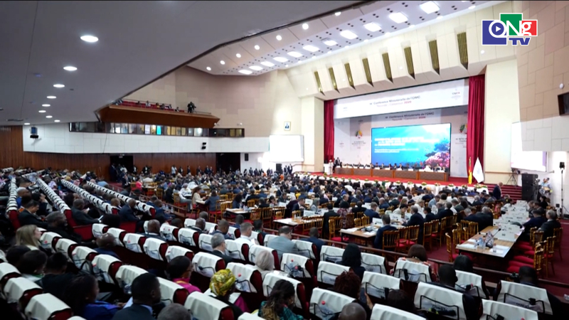 T&iacute;n hiệu t&iacute;ch cực từ Hội nghị Bộ trưởng lần thứ 14 của Tổ chức Thương mại thế giới