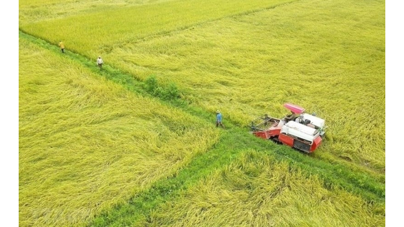 Đến th&aacute;ng 6/2026 phải cơ bản giải quyết xong tồn đọng về dồn điền đổi thửa 