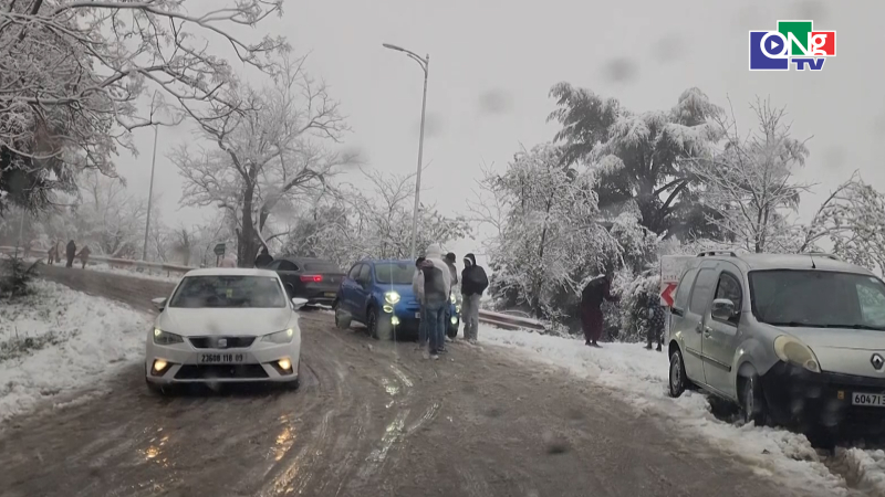 Tuyết rơi giữa m&ugrave;a Xu&acirc;n ở Algeria