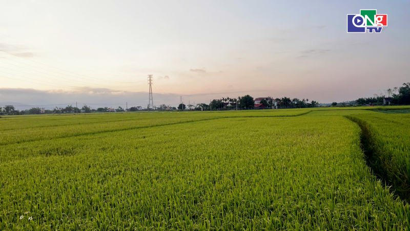 Đến th&aacute;ng 6/2026 phải cơ bản giải quyết xong tồn đọng về dồn điền đổi thửa