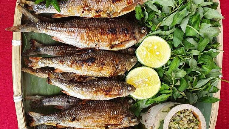 C&aacute; ni&ecirc;n - đặc sản n&uacute;i rừng quảng ng&atilde;i c&oacute; gi&aacute; trị kinh tế cao 