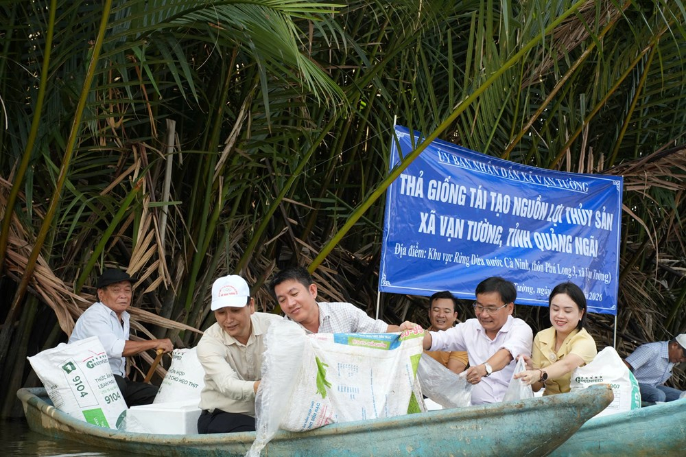 Hơn 106.000 con tôm, cá giống được thả xuống rừng dừa nước Cà Ninh, góp phần tái tạo nguồn lợi thủy sản và phục hồi hệ sinh thái tự nhiên.