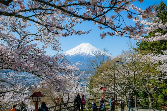Núi Phú Sĩ nhìn từ công viên Akurama Sengen.