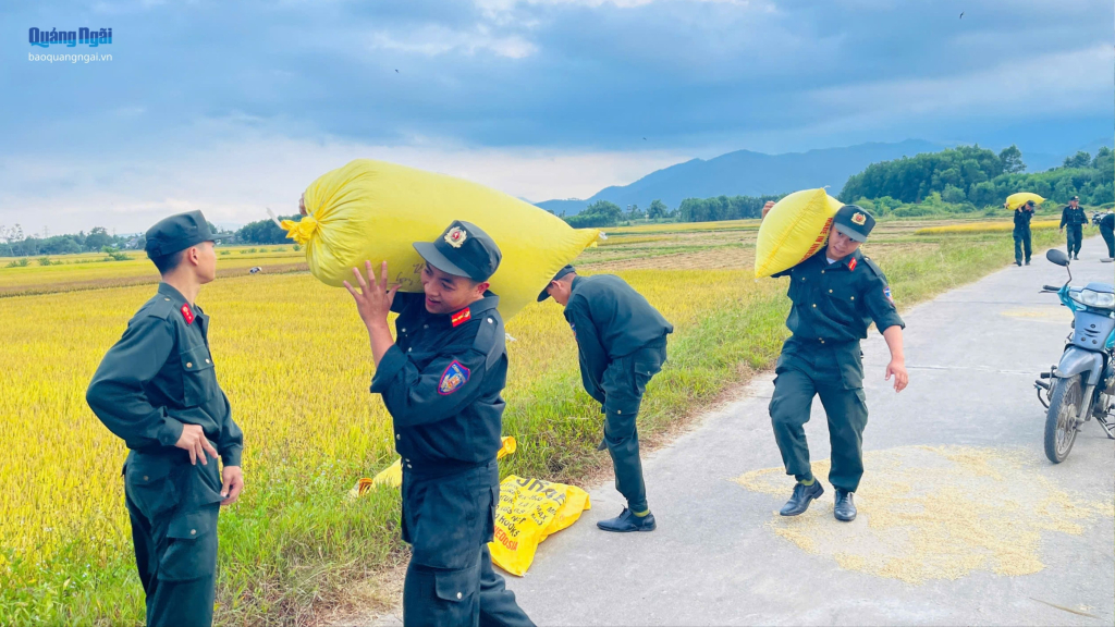 Cán bộ, chiến sĩ giúp người dân vận chuyển lúa về nhà. Ảnh: ĐVCC