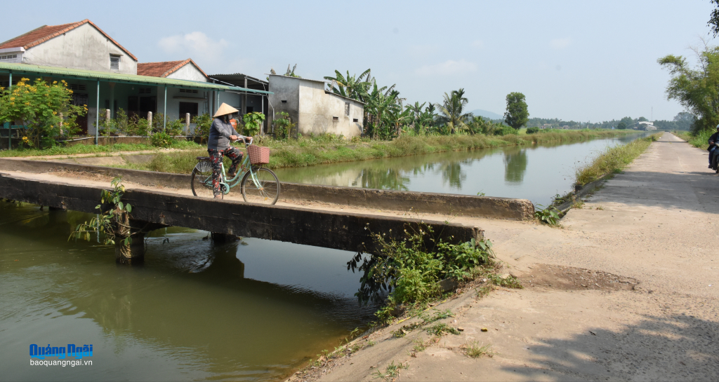 Sở Nông nghiệp và Môi trường chỉ đạo Công ty TNHH Một thành viên Khai thác công trình thủy lợi Quảng Ngãi khẩn trương có biện pháp đảm bảo an toàn giao thông tại vị trí các cầu thô sơ bắc qua kênh chính Nam, đoạn qua thôn Nghĩa Lâm, xã Phước Giang.