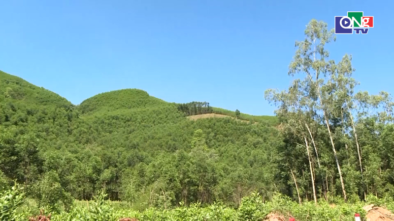 Tập trung ph&ograve;ng, chống ch&aacute;y rừng