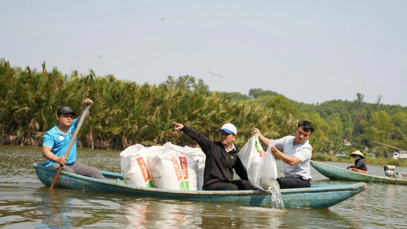 Thả t&ocirc;m, c&aacute; giống phục hồi sinh th&aacute;i rừng dừa nước C&agrave; Ninh 