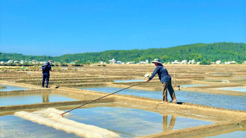 Gi&aacute; muối tăng, di&ecirc;m d&acirc;n Sa Huỳnh phấn khởi 