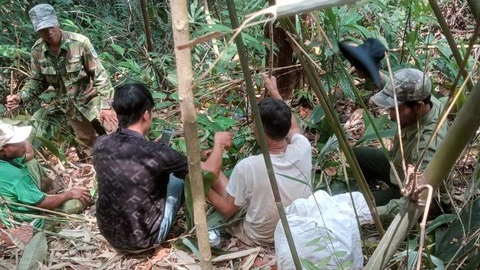 Gần 50 người xuy&ecirc;n đ&ecirc;m băng rừng t&igrave;m cụ &ocirc;ng ở Quảng Ng&atilde;i đi lạc