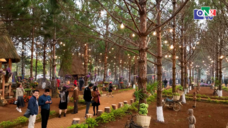 Măng Đen sẵn s&agrave;ng cho m&ugrave;a du lịch 2026