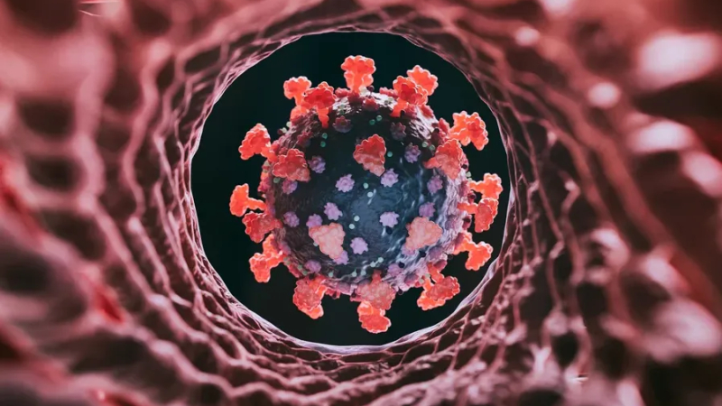 Biến thể COVID-19 Cicada l&acirc;y lan tại h&agrave;ng chục bang của Mỹ 