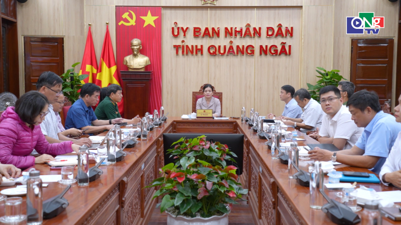 Họp Ban Chỉ đạo quốc gia về hội nhập quốc tế