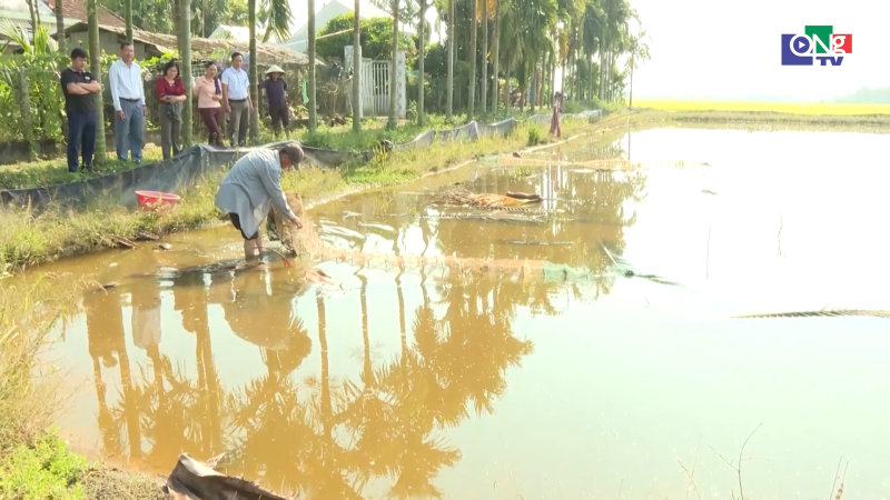 Nu&ocirc;i cua v&agrave; c&aacute; chạch đồng v&ugrave;ng ruộng trũng thấp