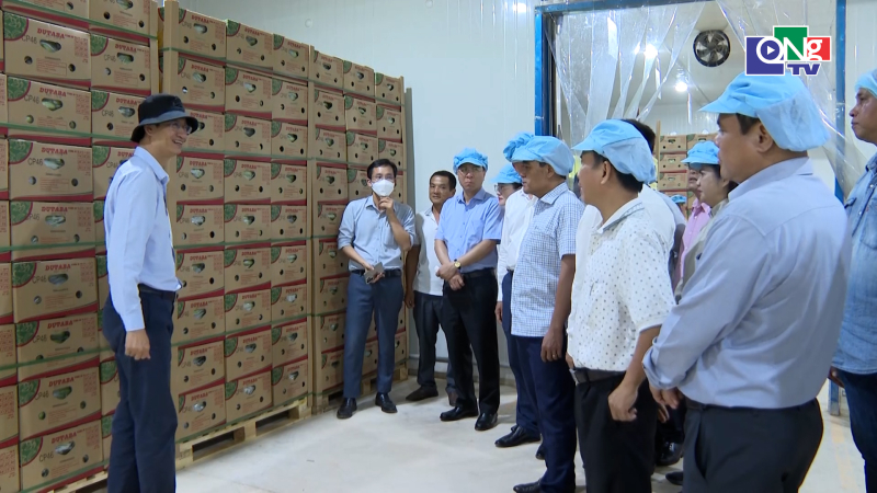 L&atilde;nh đạo tỉnh tham quan n&ocirc;ng trường ở tỉnh Stung Treng, Vương quốc Campuchia