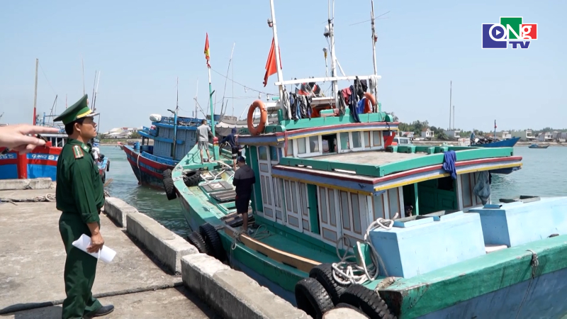 Quảng Ng&atilde;i đẩy mạnh số h&oacute;a quản l&yacute; nghề c&aacute; 