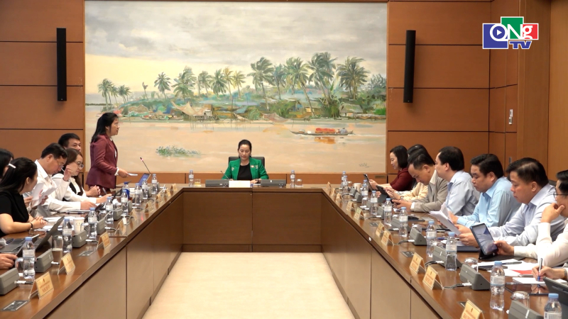 G&oacute;p &yacute; c&aacute;c dự &aacute;n Luật trong lĩnh vực ph&aacute;p l&yacute;