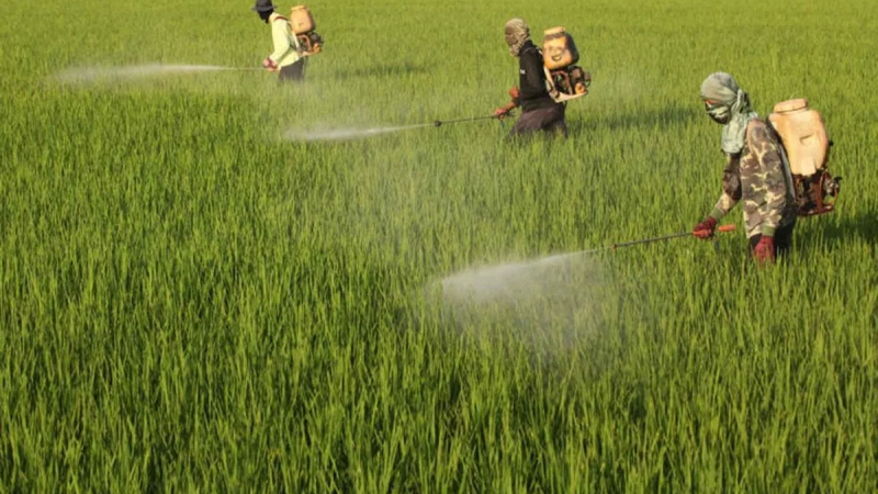 Th&aacute;i Lan t&igrave;m c&aacute;ch b&ugrave; đắp thiếu hụt nguồn cung ph&acirc;n b&oacute;n