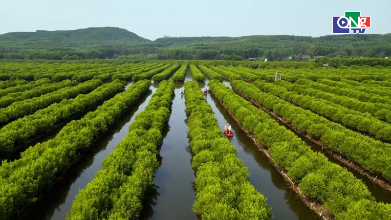 Ph&aacute;t triển du lịch xanh, bền vững
