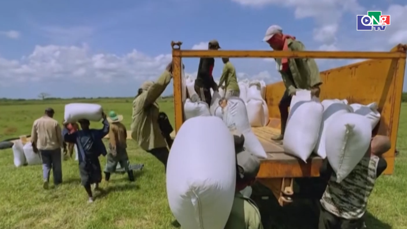 Cuba mở cửa thương mại n&ocirc;ng sản cho khu vực tư nh&acirc;n 