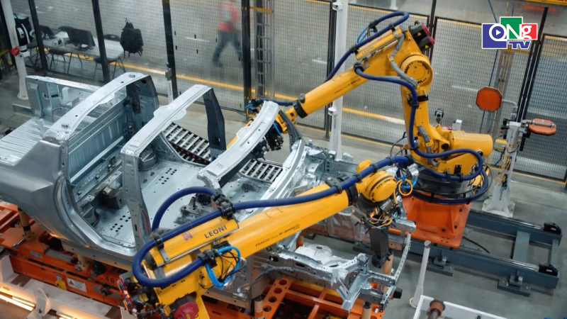  55% việc l&agrave;m trong 3 năm tới bị ảnh hưởng bởi AI