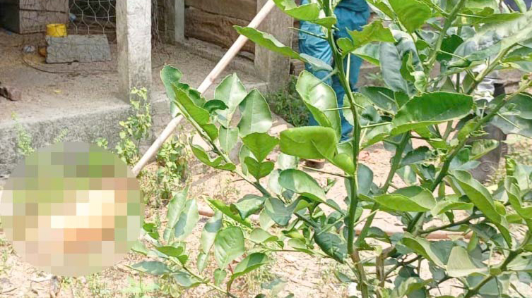 Bốn người bị ch&oacute; nghi dại tấn c&ocirc;ng được ti&ecirc;m ph&ograve;ng đầy đủ