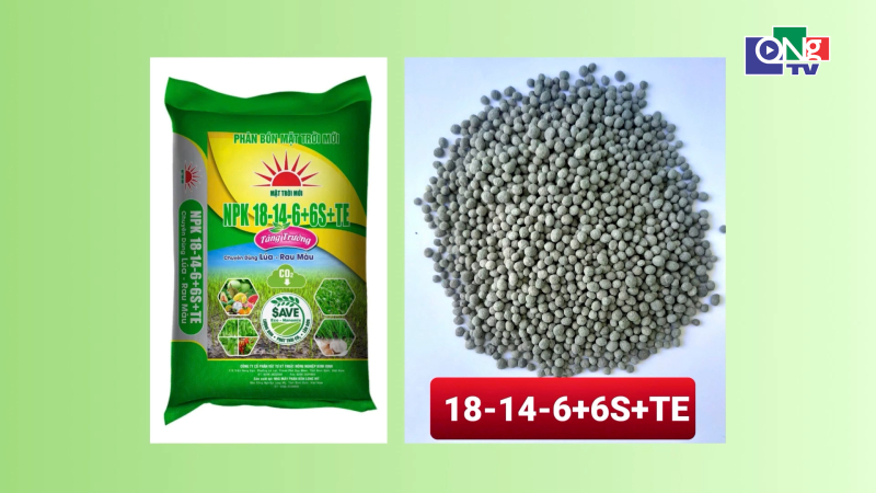 Giải quyết nỗi lo ph&acirc;n b&oacute;n k&eacute;m chất lượng 