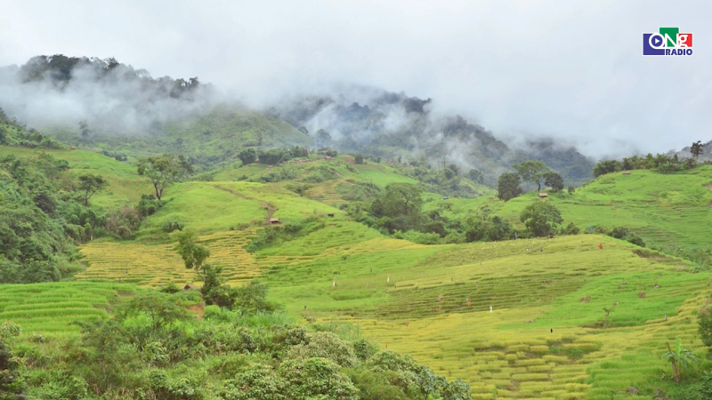 Ngọc Linh &ndash; Vươn về ph&iacute;a mặt trời