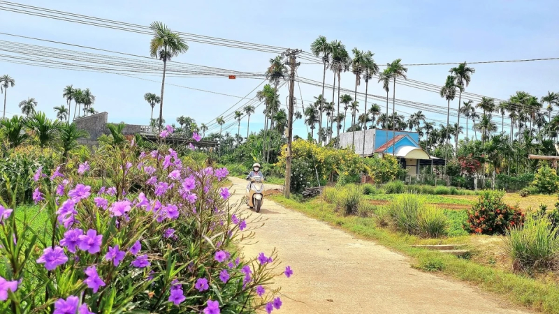 Quảng Ng&atilde;i ưu ti&ecirc;n hỗ trợ v&ugrave;ng kh&oacute; trong lộ tr&igrave;nh n&ocirc;ng th&ocirc;n mới 