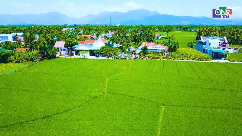 Quảng Ng&atilde;i ph&acirc;n nh&oacute;m x&atilde; x&acirc;y dựng n&ocirc;ng th&ocirc;n mới