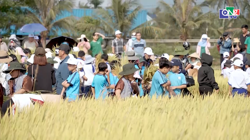 Đặc sắc Lễ hội Ng&agrave;y m&ugrave;a 