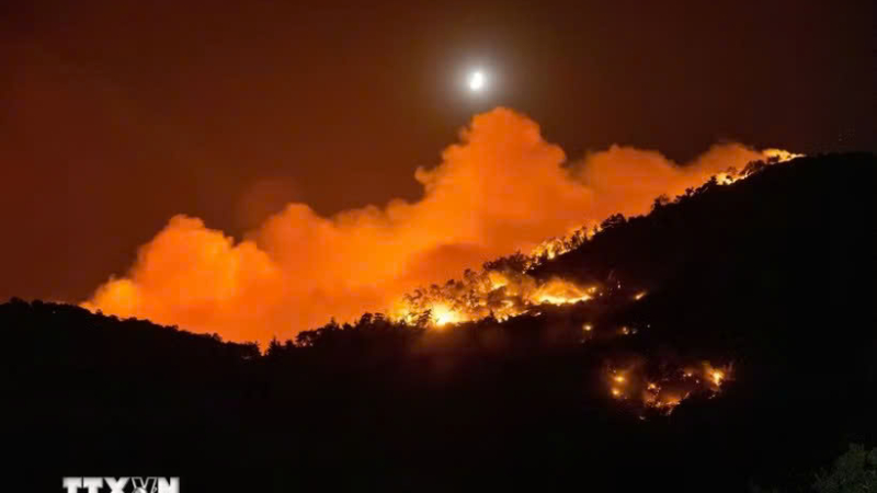 H&agrave;n Quốc huy động 5 trực thăng ngăn chặn ch&aacute;y rừng 