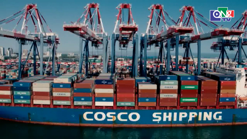 Thế giới trưa 20/4