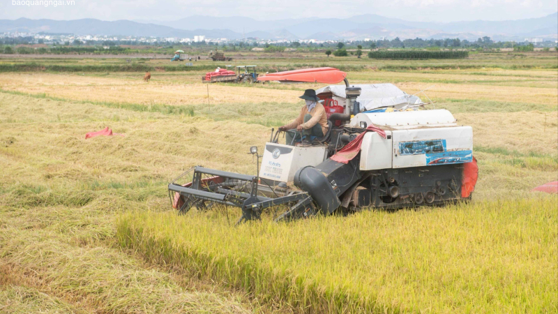 Li&ecirc;n kết sản xuất mở hướng ph&aacute;t triển v&ugrave;ng cao Quảng Ng&atilde;i