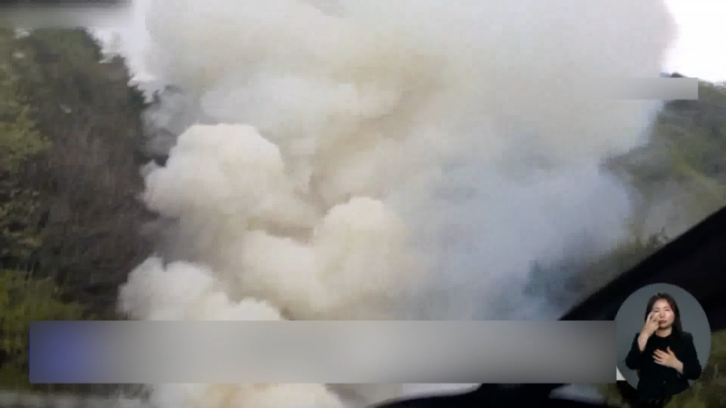 Ch&aacute;y rừng lại b&ugrave;ng ph&aacute;t ở th&agrave;nh phố Daegu