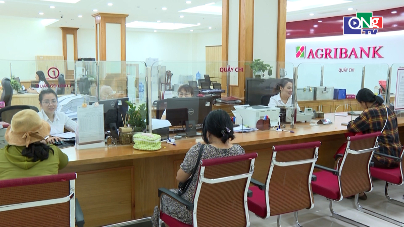 T&iacute;n dụng n&ocirc;ng nghiệp, n&ocirc;ng th&ocirc;n chiếm hơn 51%