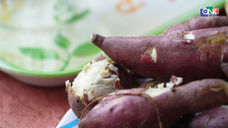 M&ugrave;a khoai lang tr&ecirc;n đồng H&agrave; M&ograve;i