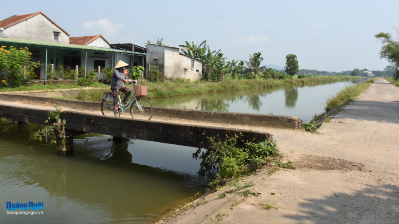 Quảng Ng&atilde;i chỉ đạo khẩn đảm bảo an to&agrave;n tuyến k&ecirc;nh ch&iacute;nh Nam