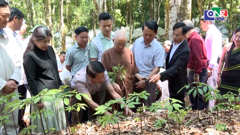 Li&ecirc;n kết - mở lối cho n&ocirc;ng sản miền n&uacute;i Quảng Ng&atilde;i